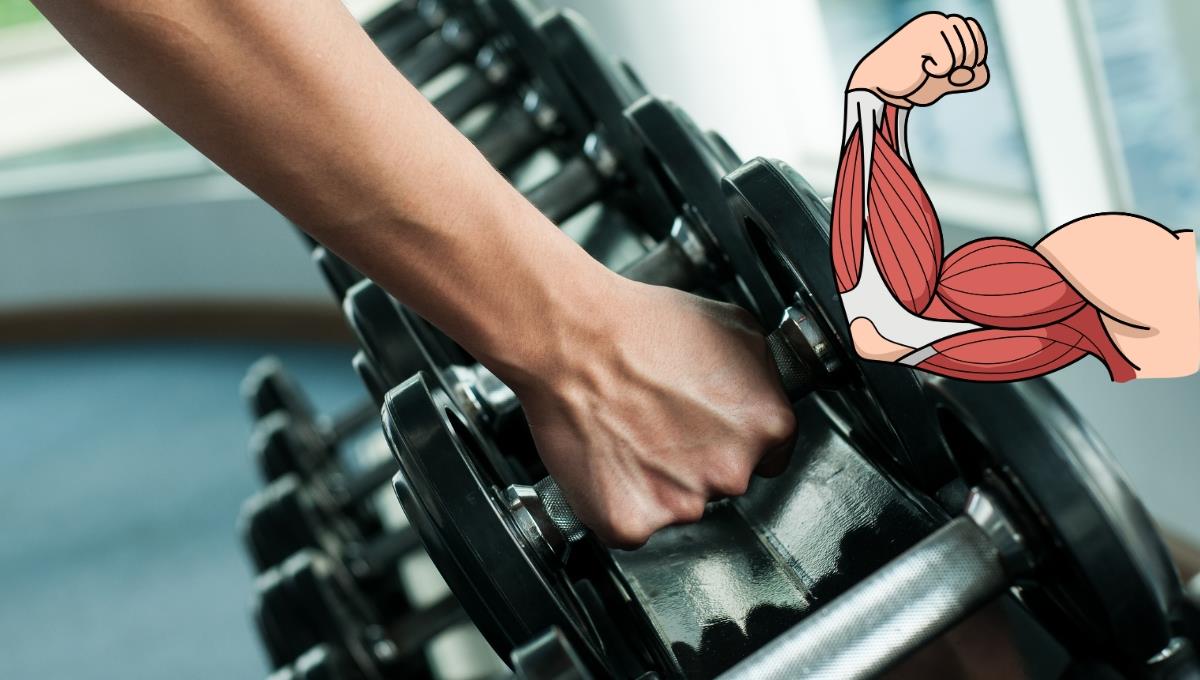 El "entrenamiento super lento" que te ayudará con el ejercicio para aumentar los músculos